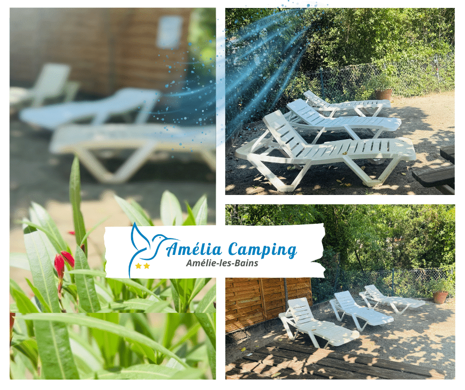 Amélia Camping — photo 5