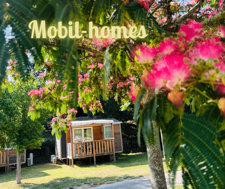 Amélia Camping — photo 6